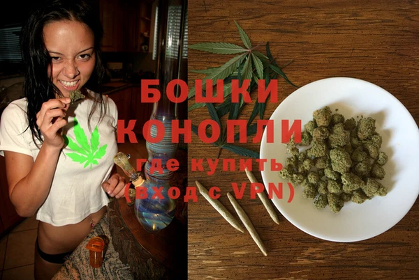 дмт Осинники
