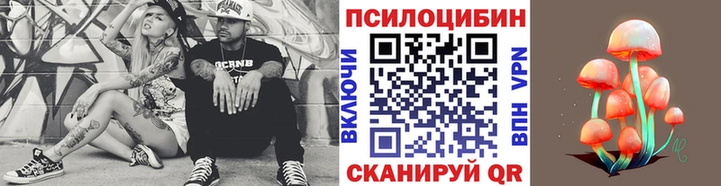Галлюциногенные грибы Psilocybe  Ковров 